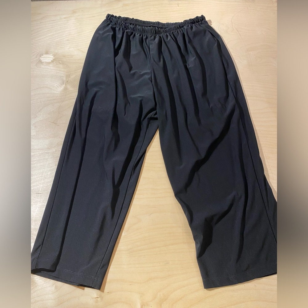 Knit Wide Leg Dress Ankle Pants 22W (AY)